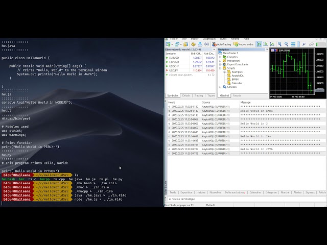 Any programming language to MQL & MQL to any programming language