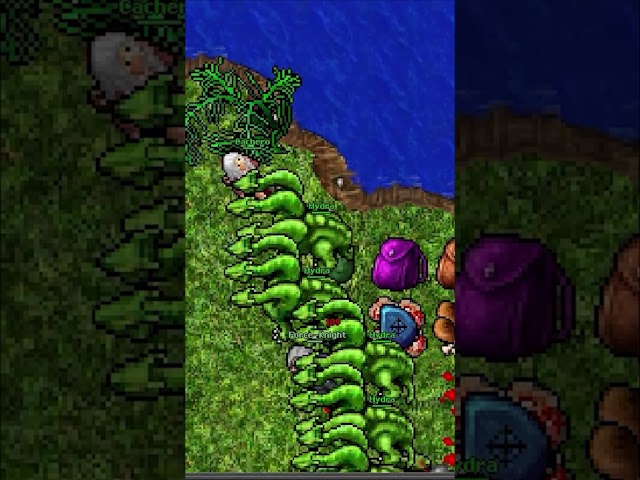 Tibia - Cachero UNBELIVABLE UE (7.6 2006 CALMERA)