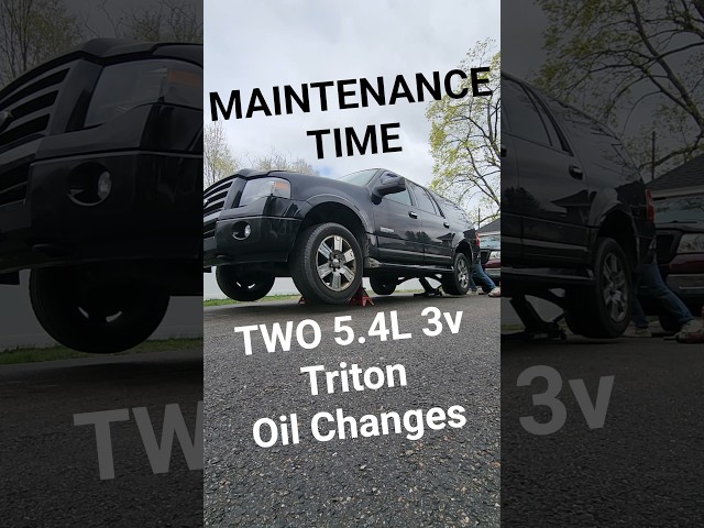 Life with two 5.4L Fords... #oilchange #maintenance #diy #ford #mechanic