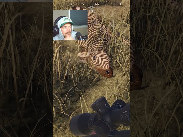 I Didn't Mean To Run This Zebra Over 😂 # wayofthehunter2