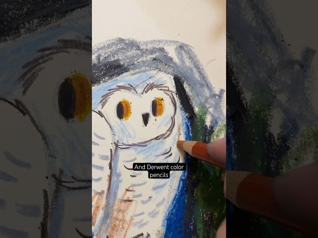 Sketching owl 🦉✨ #sketching #drawing #sketchbookdrawing #birddrawing #childrenillustration
