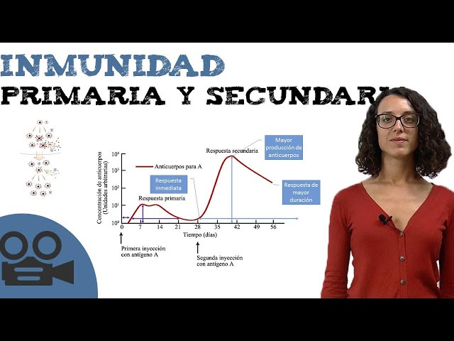 Primary and secondary immunity