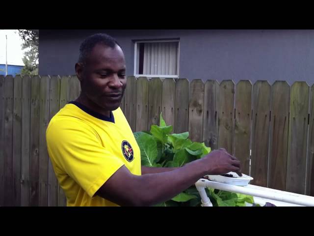 How to Supercharge Your Aquaponics Garden