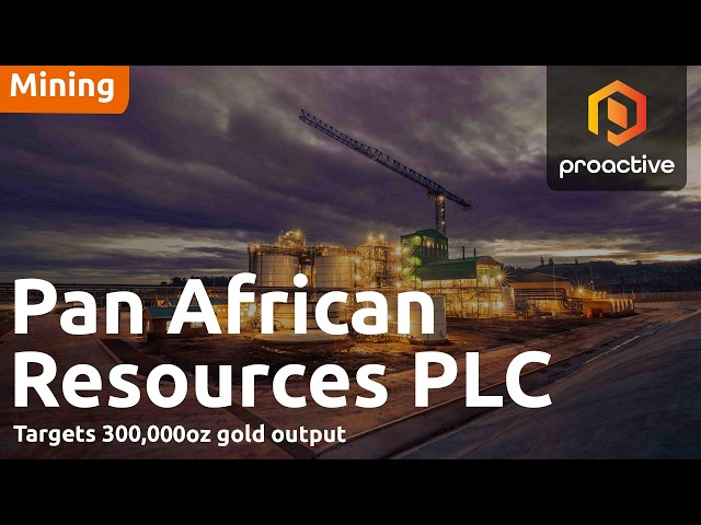 Pan African Resources CEO: Record year sets up 'healthy' balance sheet for growth push