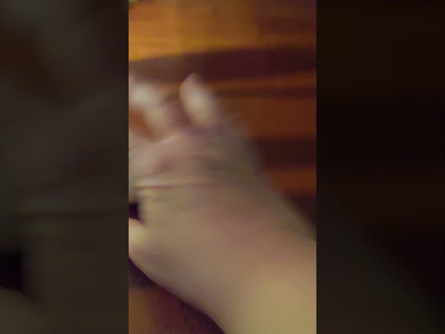 The Moment of Equal Day/Night