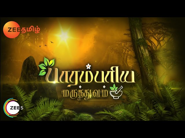 Parambariya Maruthuvam - Ayurvedic Food Recipe - Epi 1562 - Zee Tamil TV Serial - Best Scene