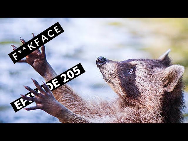 Bean or Bark // Sea of Thieves Hack [205]