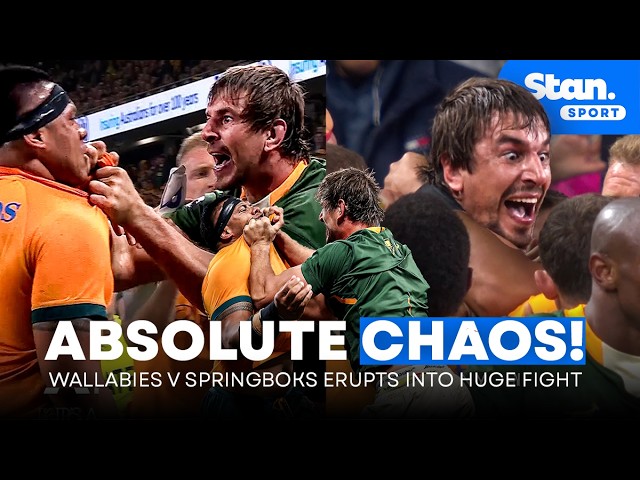 CARNAGE! Tensions BOIL OVER between Wallabies and Springboks and it turns into CHAOS 🤯