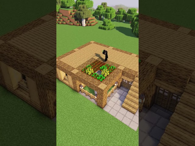 Minecraft Starter House 🏡 #minecraft #shorts