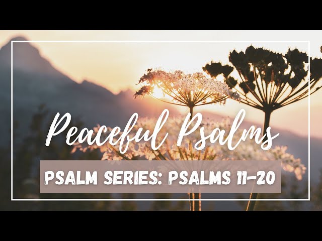 Peaceful Psalms » Scripture Reading Psalms 11-20