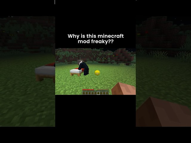 Minecraft Meme