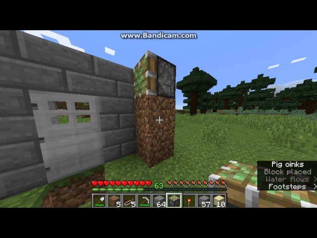 Minecraft how to build a Sand Drop trap