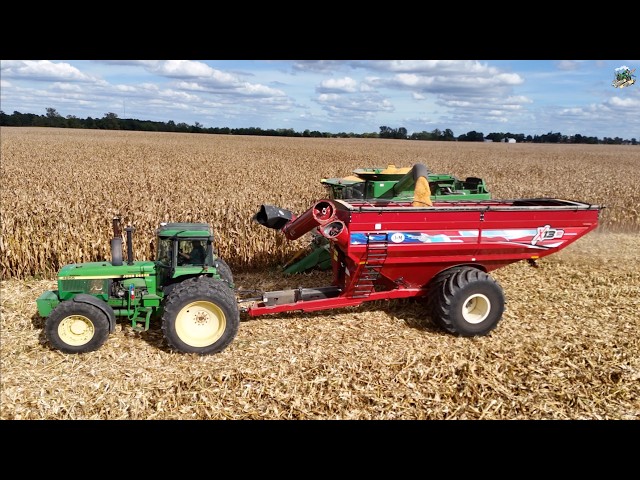 High Moisture Corn Harvest! Harvesting, Rolling & Packing Corn