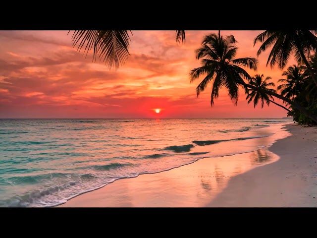 Soft Ocean Waves at Tropical Sunset 🌅 Calm Nature Sounds | Relaxing Ocean Waves