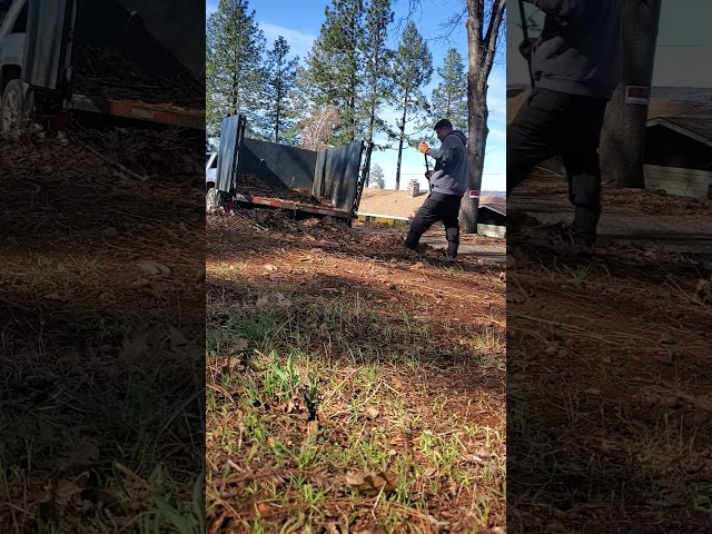 Leaf Clean upwas it fun though ? #leafcleanup #propertycare #propertycleanup #grind #sub