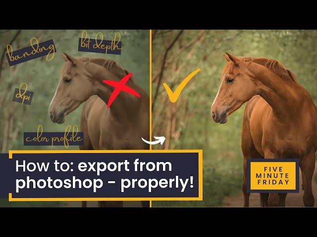 How To Export from Photoshop like a Pro | Avoid banding, colour shifts and blurry photos forever!