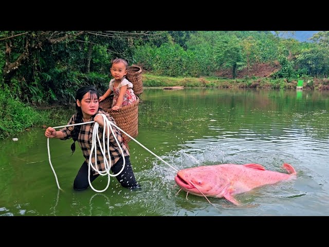 Discovering Wildlife | Single mother catches giant fish to support her family
