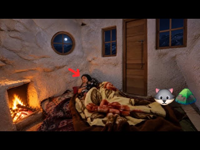 The Difficult Nights of  Mother in the Mountains Among Wild Animals Shocked Everyone