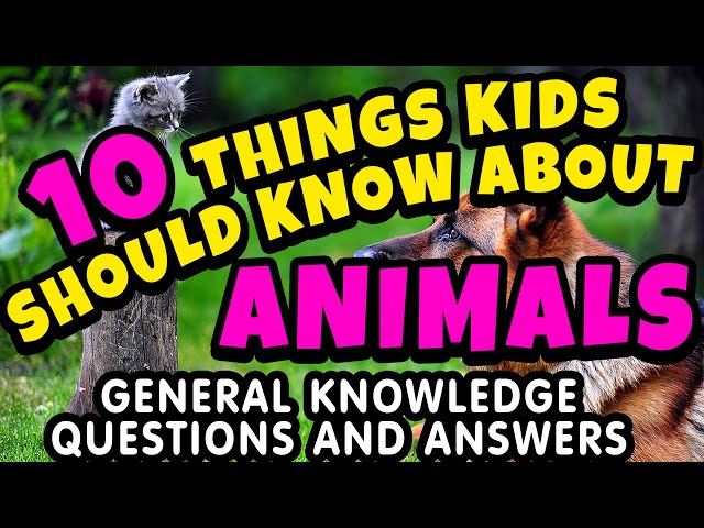 10 Things Kids Should know About Animals | 10 True or False Questions