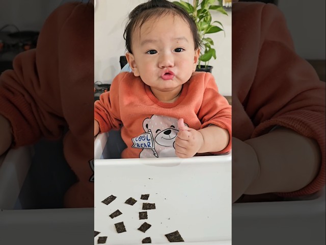 He can never have enough seaweed/nori to snack on #seaweed  #seaweedsnacks #babyeats
