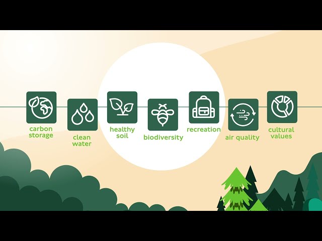 FSC Verified Impact