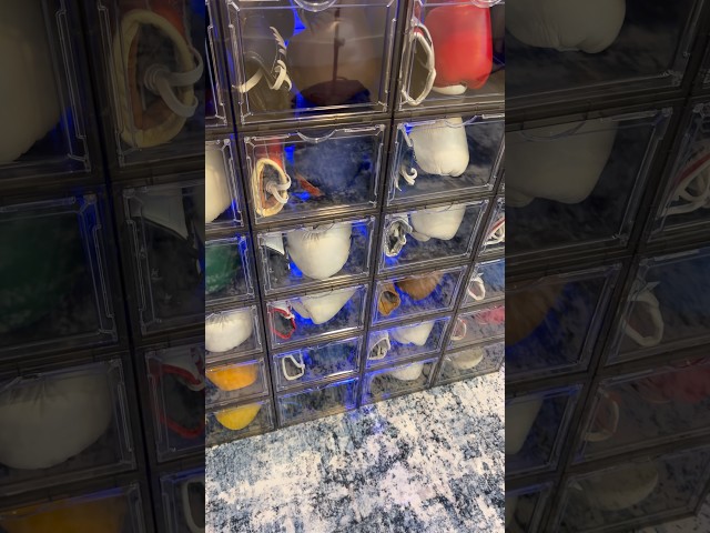 How Do I Store My Boxing Gloves?