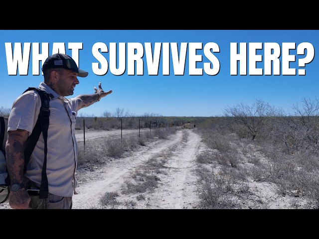 The Botanist with 500K Fans Who Bought the Rarest Ecosystem in Texas