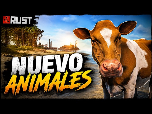NEW ANIMALS COWS AND SHEEP RUST UPDATE