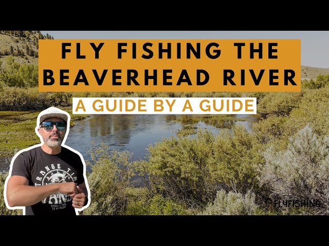 Fly Fishing The Beaverhead River (A Guide By a Guide)