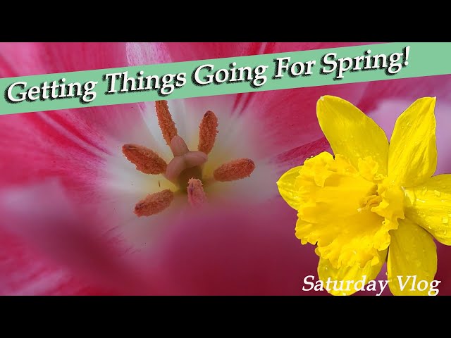 Starting Spring Chores For The Backyard! SPRING!