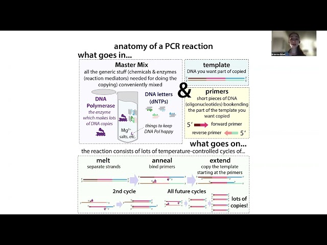 Hot start PCR & avoiding "nonspecific products"