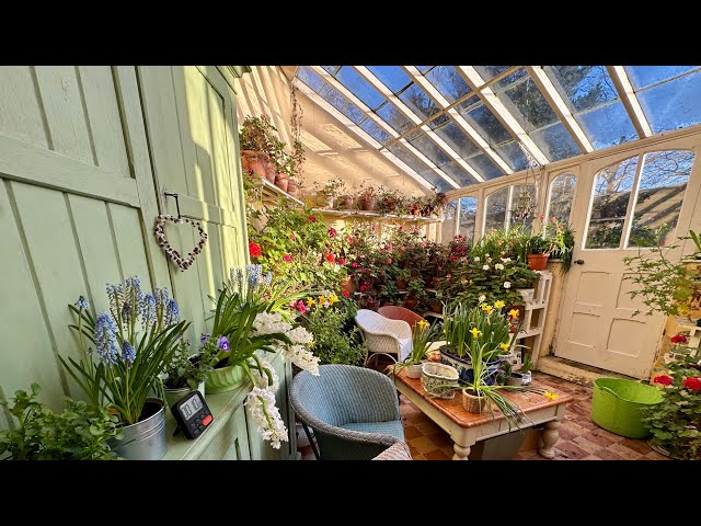 My Victorian Conservatory Is LEAKING… Spring Tidy Up Chaos! 🌧️🌿