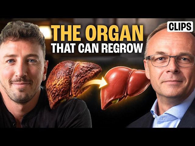 Can You Reverse Liver Scarring? Fatty Liver, Fibrosis & Recovery Explained by Aleksander Krag