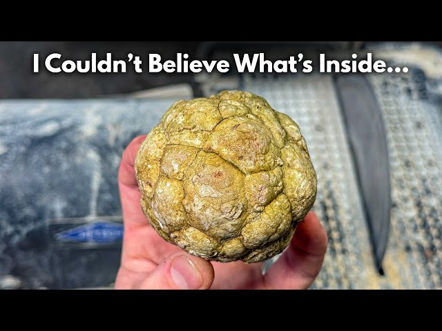 Mysterious Thunder Egg Gets Cut Open