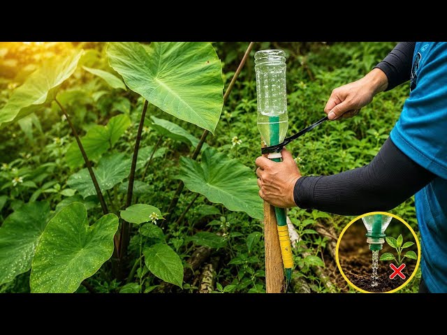Smart gardening tips! Don't throw away plastic bottles—every household needs this.