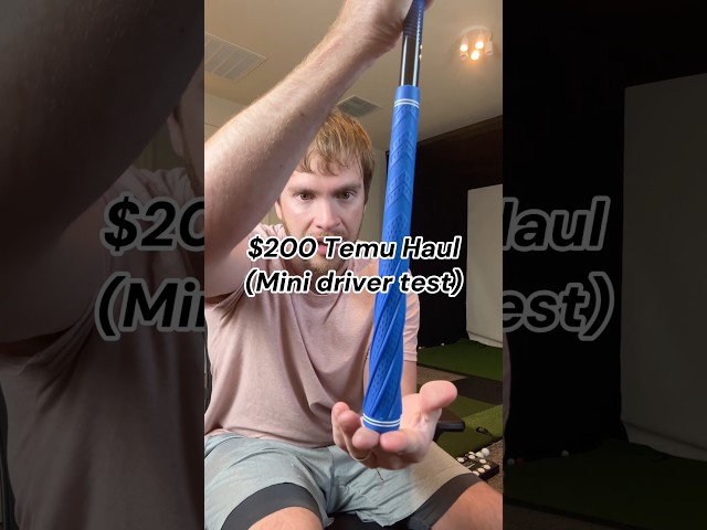 I bought a mini driver from Temu