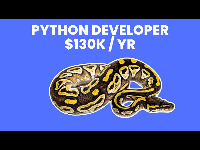 What is the role of a Python Developer ? | Career Guide - Job Description - Responsibilities