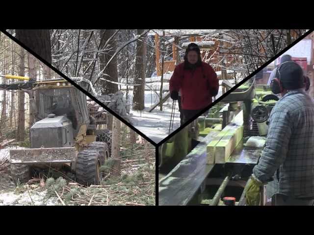 Forest Certification: Chain Of Custody
