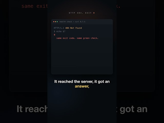 Your agent checked the API. It got a 404