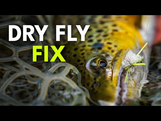 How to Fish Dry Flies and Actually Catch Trout — Fly Fishing for Beginners | Ep. 191