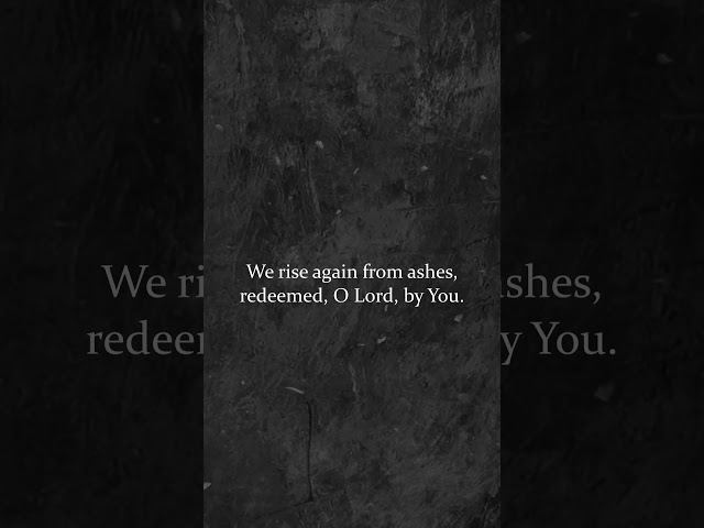 Ashes  | Ash Wednesday & Lent Hymn | #shorts #lent #ashwednesday #catholic #christianmusic