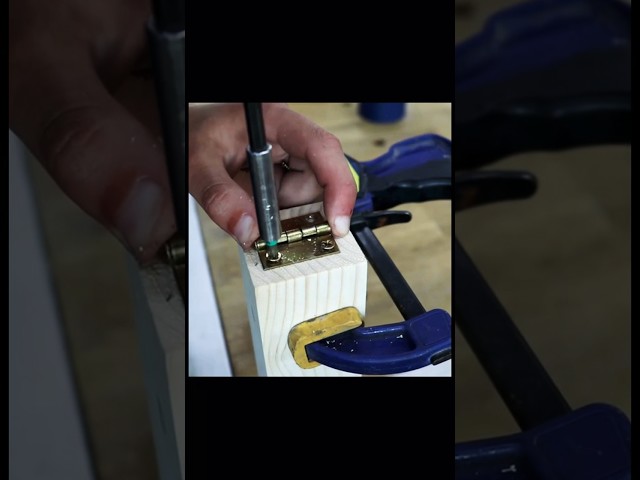 This Must Be In Every Workshop. Woodworking. #woodworking #woodworkingjigs #diy #wood