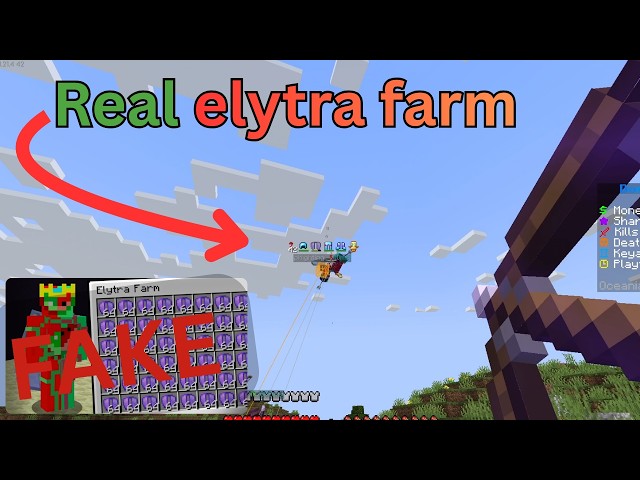I made a REAL elytra farm on the DonutSMP