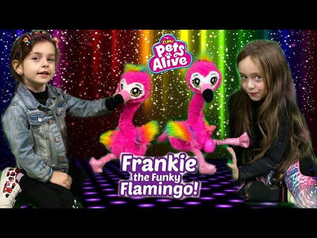 Let's Get Funky with Funky Flamingo by @ZuruToys