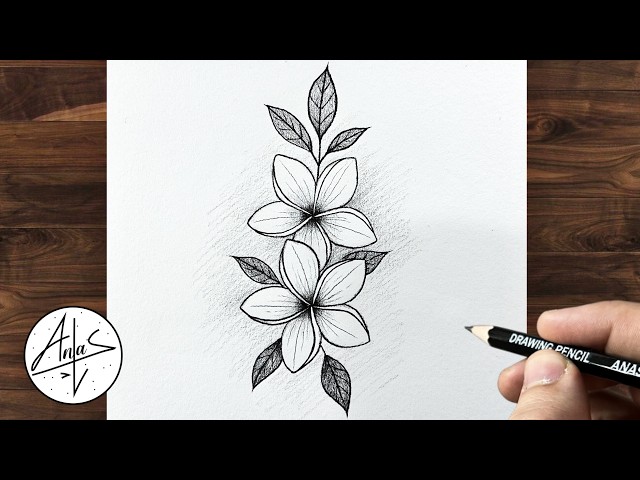 How to Draw Beautiful Flowers | Easy Pencil Sketch for Beginners