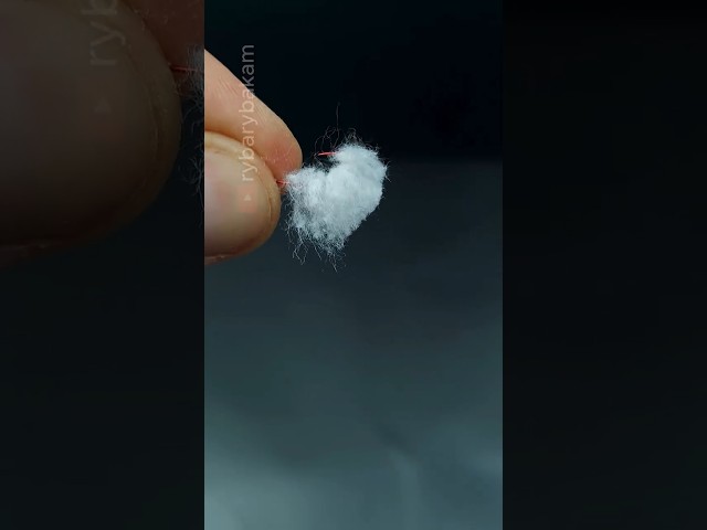 🔥Using Cotton Wool as Bait? It Actually Works! #shorts
