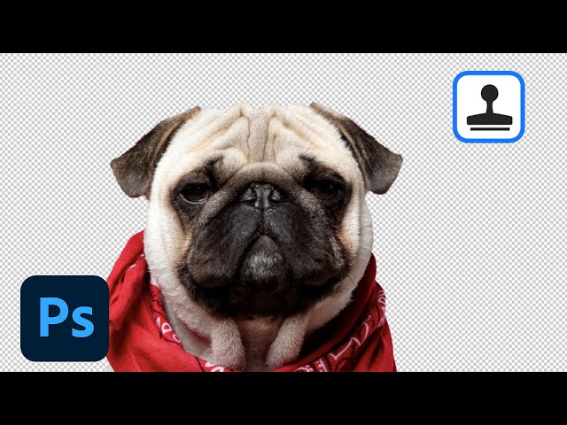 How Quick Actions Work in Photoshop on the Web | Adobe Photoshop