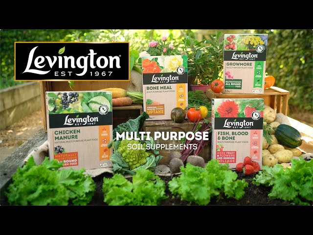 How to Use Levington® Soil Supplements | Year-Round Plant Feeding Solutions | Love The Garden