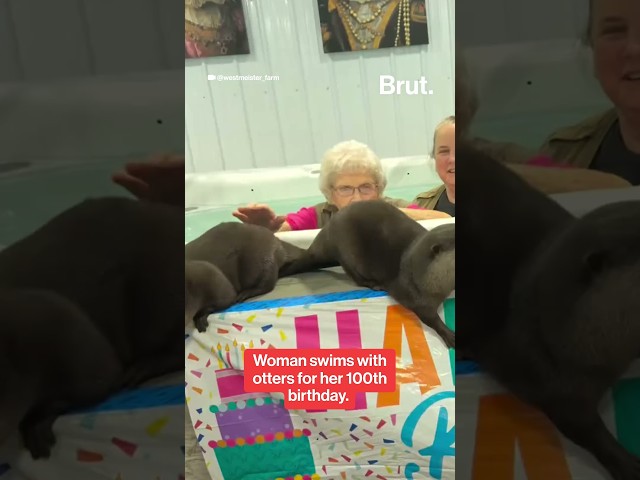 100-year-old woman swims with otters, a lifelong dream.