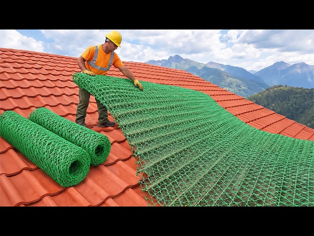 Shocking Invention of 60-Year-Old Plumber! Free Recycling Ideas from Plastic Mesh & Cement